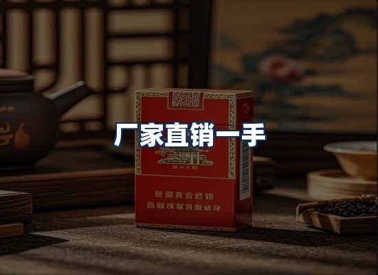 专业团队办公环境